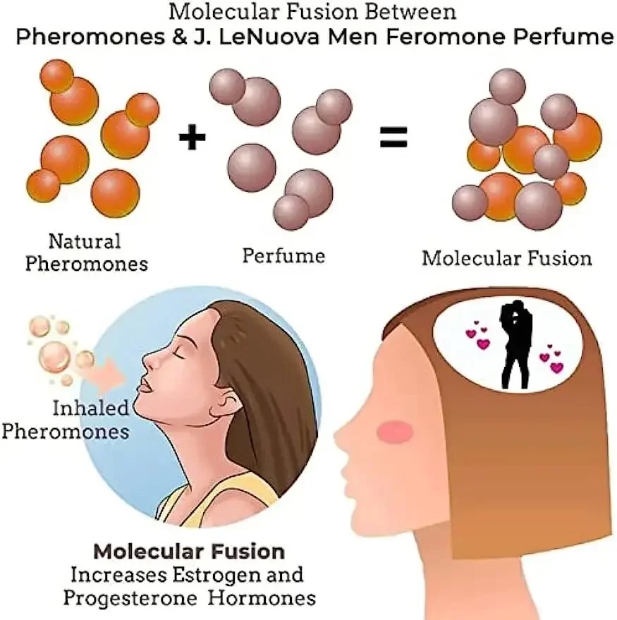 Men's Pheromone Perfume Attrac - Body Oil 评论和价格